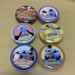 パペットスンスン　プチキャン　6セット