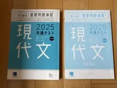 現代文 2025 共通テスト 問題集 解答　重要問題演習　ベネッセ