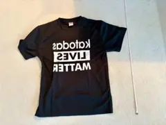 Item thumbnail for item 5bfa7003-e376-44d0-9d32-65ce56f73c18