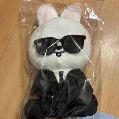 スキズ StrayKids POPUP限定 ぴょこぴょこぬいぐるみ リービット