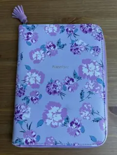 Item thumbnail for item 0d2f8a9d-09f0-401e-8ac3-678eb6e65a4e