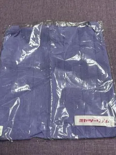 Item thumbnail for item 171784fc-790e-468a-9e43-92aa67b9f595