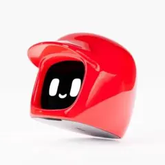 【訳あり】新品 ダサイ もち バージョン3 赤 DASAI MOCHI RED 新品 ダサイ もち バージョン3 赤 DASAI MOCHI RED - メルカリ