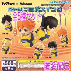 ハイキュー!! x MIKASAぶら～ん！コラボスイング全5種セット