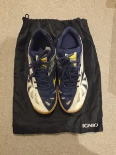 MIZUNO WAVE MEDAL 5 卓球シューズ 26.5cm