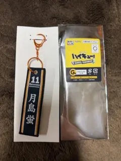 ハイキュー!! 月島蛍 フライトタグ タイトーくじ G賞