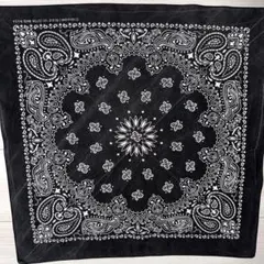 Item thumbnail for item 53d430ed-22e1-42c1-aafe-d44ba2ffabed