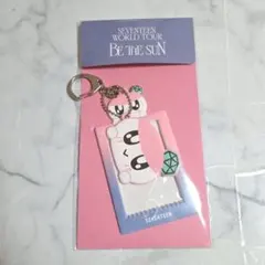 SEVENTEEN ボンボンイ　トレカケース　ワルツ　証明写真