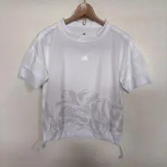 Item thumbnail for item 5f526eb7-55f8-4ee7-8fcb-e6d8f63666fa