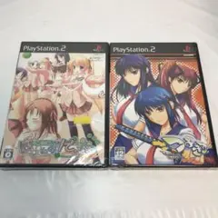 【PS2】はぴねす!でらっくす　つよきす　未開封品