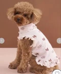 ジェラートピケ オータムケーキ柄 DOGプルオーバー ピンク M 新品未使用