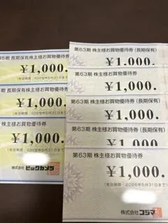 ビックカメラ、コジマ株主優待　合計8000円分