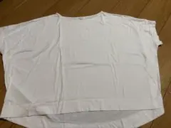 Item thumbnail for item 0780114b-ca1c-42f0-be1d-662a795c38d2