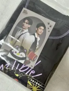新品 S GEESE ギース EXCLUSIVE Tシャツ FUJI ROCK - メルカリ