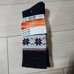 スキーソックス　HEAT-X 吸湿発熱 2ペア 22.0-25.0 cm