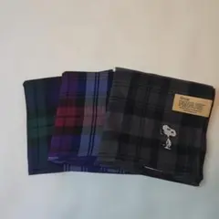 Item thumbnail for item 6fc652d7-469f-48a3-a283-b8c95c9f0673