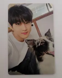 ENHYPEN ジョンウォン アンケート トレカ FC