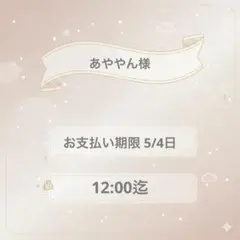あややん様専用
