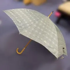 Item thumbnail for item 7147aaf7-402f-4b2d-bc27-db1cf4a8a50c