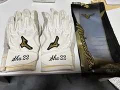 ミズノプロ オーダー バッティング手袋 25cm