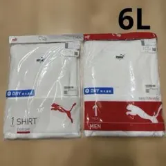 PUMAドライハニカムTシャツ　白　サイズ6L ２枚