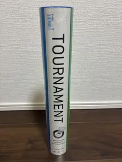 Item thumbnail for item 3a106dbb-5425-434e-ad36-270599de9590