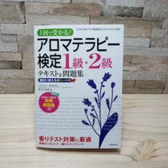 Item thumbnail for item 91cc3720-8475-4296-bc09-9c2dc82ffc0d