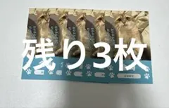 MOCHA 秋葉原店　金時　名刺トレカ