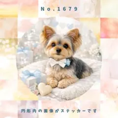 【送料無料】防水ステッカー　ヨークシャーテリア　ホワイトデー　No.1679