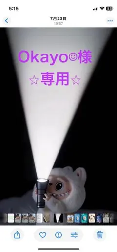 Okayo☺︎様専用ページ