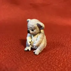 アニア　コアラ