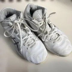 バッシュ　アシックス　25.5