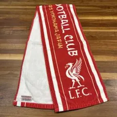 Item thumbnail for item 08c15ec0-5ce1-48c4-b234-d37f34b5c0ff