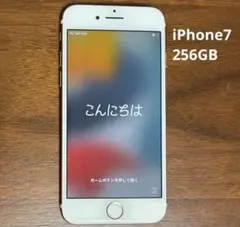 Apple iPhone7 256GB ローズゴールド