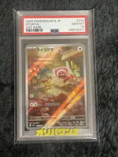 ヌイコグマAR075/063 PSA10