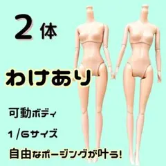 ホットトイズ 「バイオハザード4」 エイダ・ウォン 女性素体 2体セット ホットトイズ 「バイオハザード4」 エイダ・ウォン 女性素体 2体セット