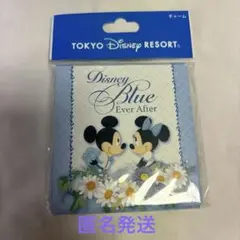 【新品】ディズニーブルーエバーアフター　チャーム　アクアスフィア　バルーンセット