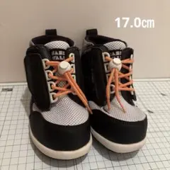 Item thumbnail for item 2f8aa13b-a45c-4696-aa02-a8c20657175a