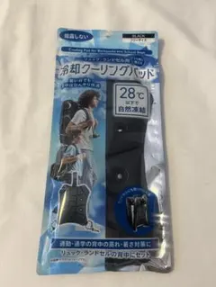 Item thumbnail for item 5b2bb287-d7f7-4057-afa4-1a62d4148b5e