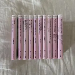 野いちご文庫10冊セット