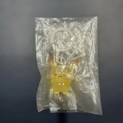 ポケピース めじるしガチャマスコット めじるしアクセサリー ピカチュウ