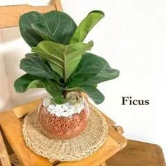 プロフ一読ください様 リクエスト 2点 まとめ商品