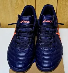 Item thumbnail for item 52e6f195-52dd-4bec-8568-592362c819c8