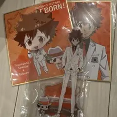 家庭教師ヒットマンREBORN 沢田綱吉 アクリルスタンドミニ色紙セット