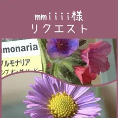mmiiii様　リクエスト　おまとめ２点