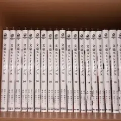文豪ストレイドッグス 1-27巻 わん！1-5巻