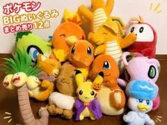 【値下げ】ポケモン BIG入りぬいぐるみ まとめ売り13点