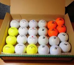 ロストボール (24個) Callaway Titleist 他