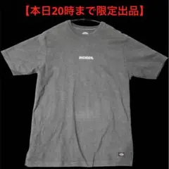 【本日出品終了】Dickies ディッキーズ 半袖Tシャツのサムネイル