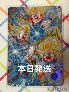 SEC パラレル SDV11-SEC 孫悟飯:青年期のサムネイル